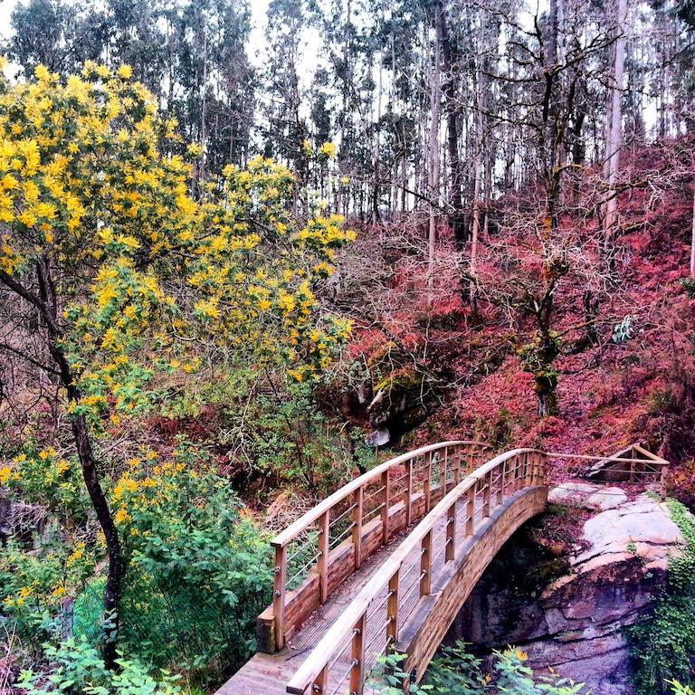 Finca El Remanso Guest House Mondoñedo Екстериор снимка